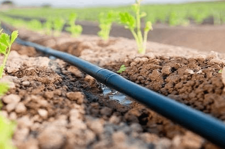 Drip irrigation System
